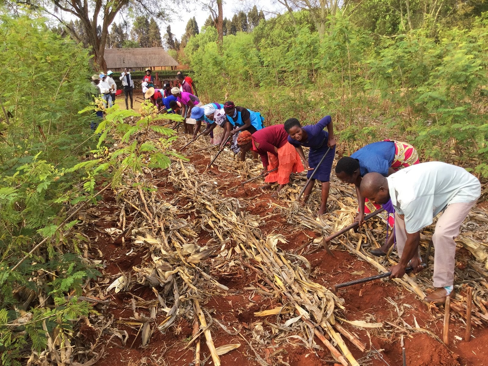 Christian-Based Nonprofit in Zimbabwe Promotes 'God's Way' of Farming