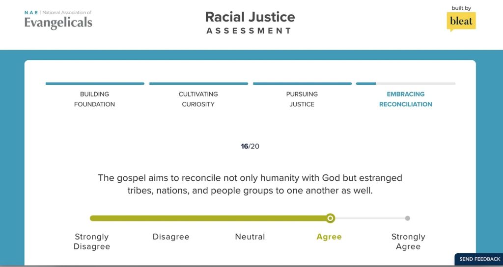 racial justice assessment