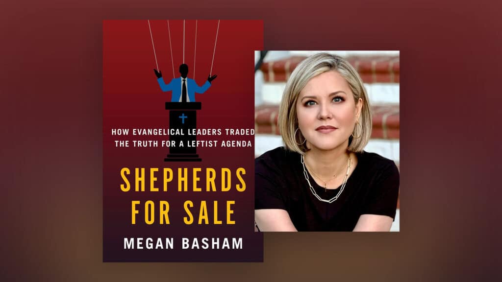 shepherds for sale basham