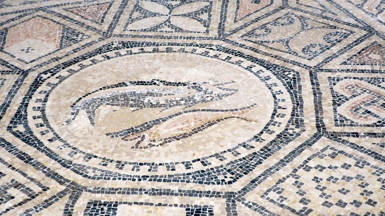 New Exhibit Of Ancient Holy Land Mosaic Marks Anniversary Of Bible Museum