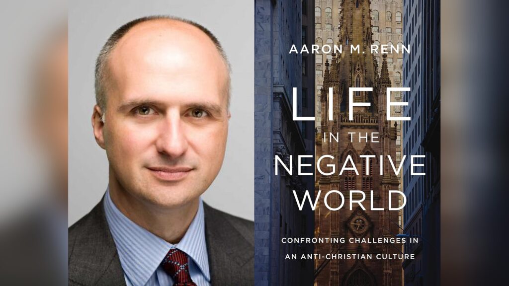 aaron renn negative world