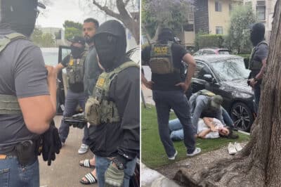 ICE Iranian persecution asylum